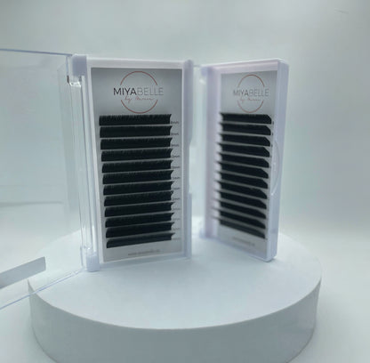 Easy Fanning Lashes in 0,05 in  M und L Curl